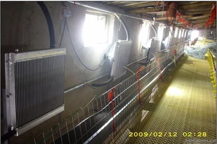 鸡舍加温锅炉节能技术与设备 以自动化升温调温锅炉提升养殖效益